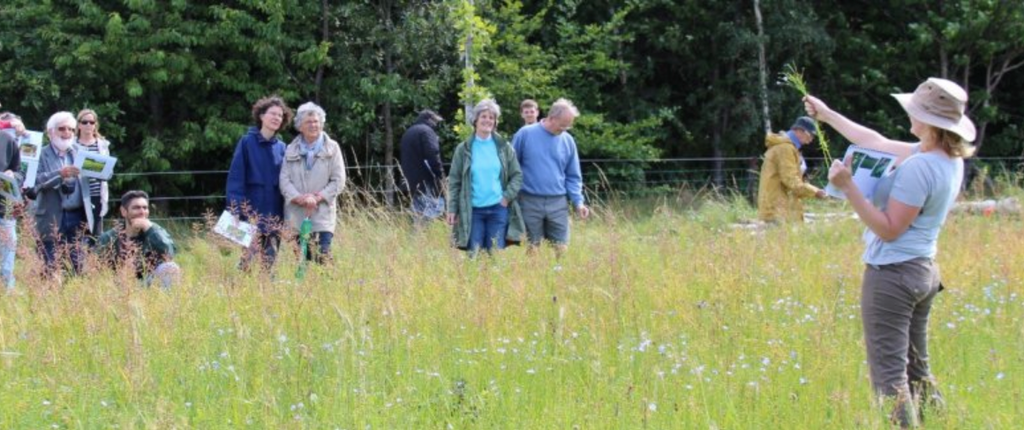 Farming For Nature Walk with Ailbhe Gerrard - Saturday 22nd August