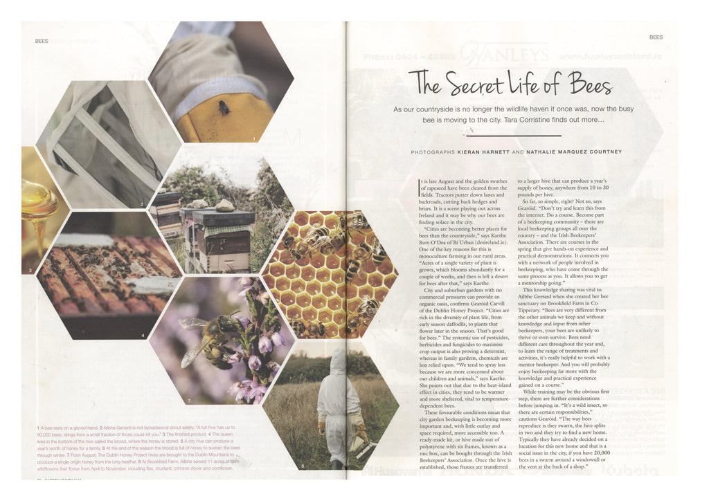 Image Interiors & Living - The Secret Life of Bees-Brookfield Farm