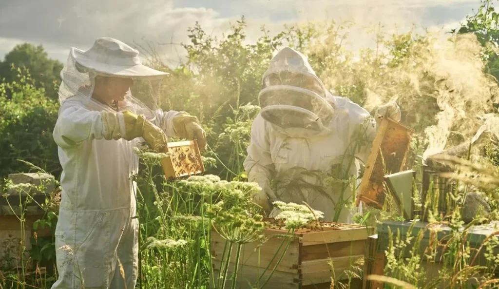 Beekeepers