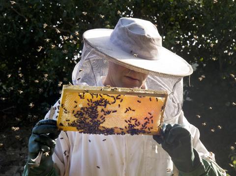 http://www.brookfield.farm/collections/hiveshare