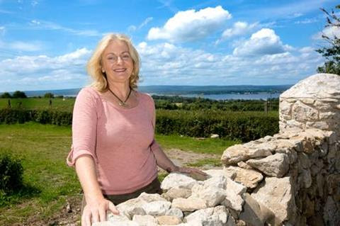Brookfield Farm in Sunday Independent newspaper