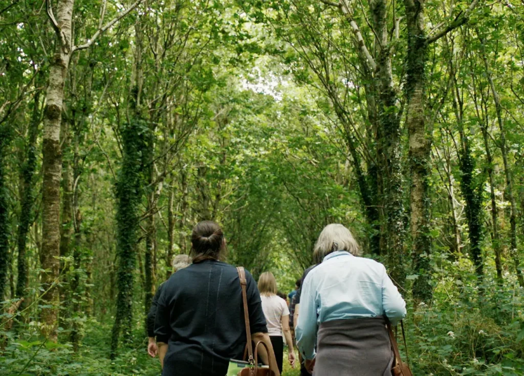 Group walking through forest