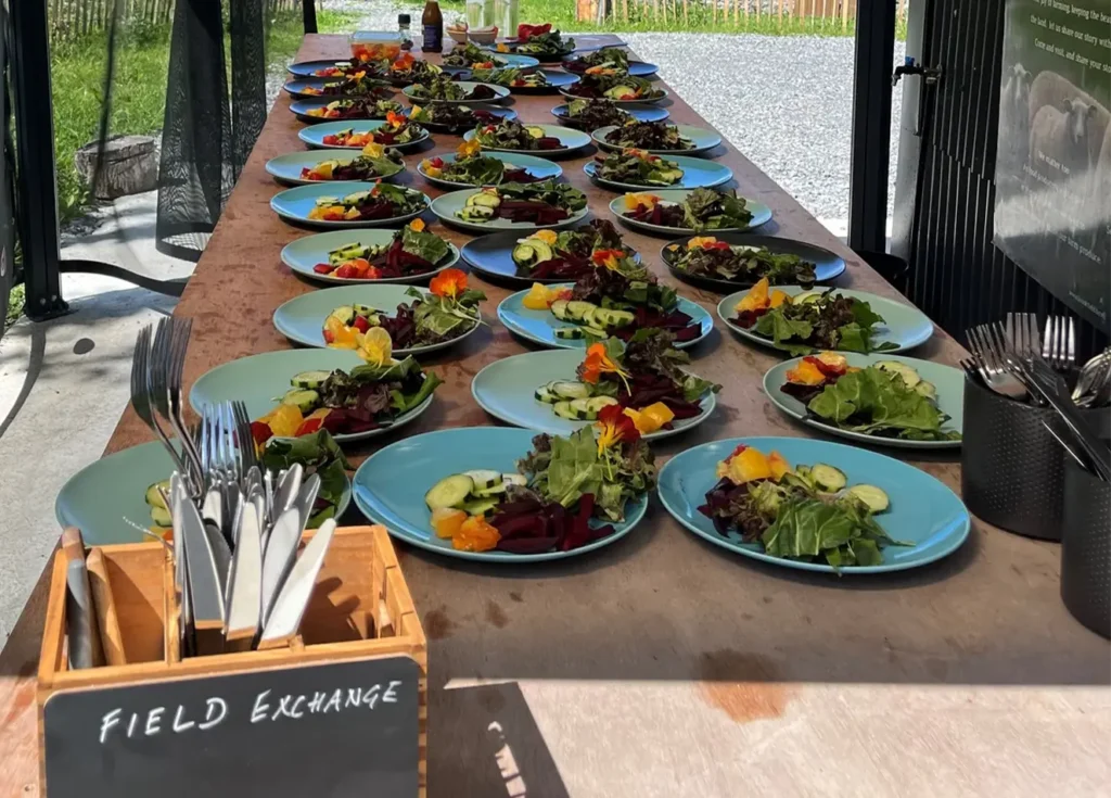 Large Meal set on Long Table