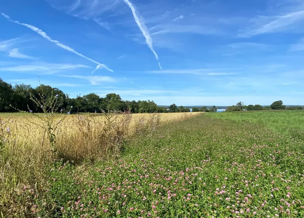 Gallery 1 Image 3